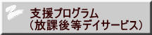 支援プログラム (放課後等デイサービス)