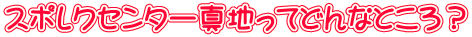 スポレクセンター真地ってどんなところ?